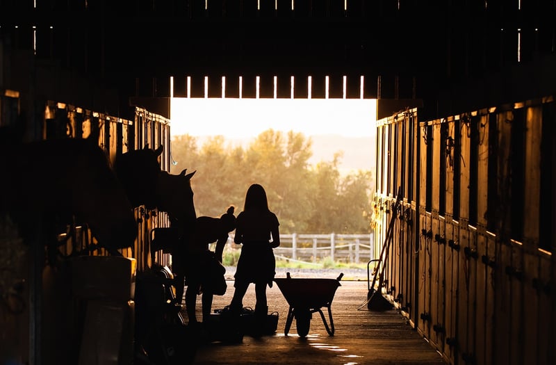 Willow Creek Ranch