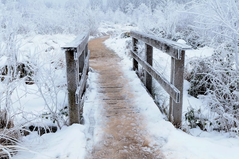 Enchanted Pathway